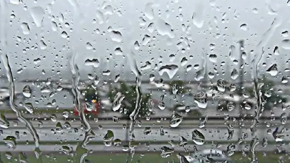 Video Post Format - 世界杯赔率